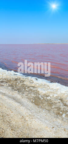 Sonnigen pink extrem salzig Syvash See, gefärbt durch Mikroalgen mit kristallinen Salz depositionen. Auch als die fauligen Meer oder faulen Meer bekannt. Ukrain Stockfoto