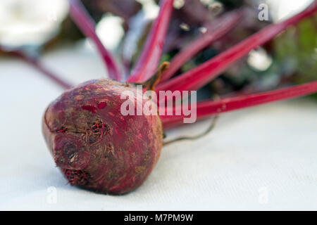 Rote Beete frische organische Rohstoffe, vegan gesunde Rohkost. Stockfoto