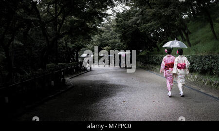 Meine Damen tragen Yukata am Kiyomizu-dera, Kyoto, Japan Stockfoto