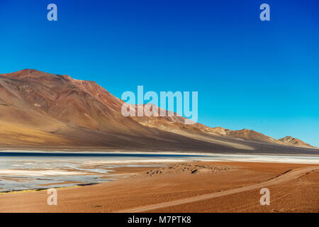 Straße und altoandina Lagune in der Salar de Atacama liegt an der Grenze zwischen Chile und Argentinien Stockfoto