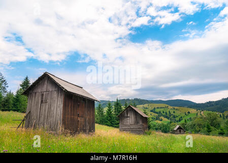 Rustikale Landschaft mit Holz- Scheunen in einer Reihe, in der Mitte eine grüne Wiese mit Wildblumen, in den Karpaten, in der Nähe von Sadova, Rumänien. Stockfoto