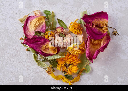 Zusammensetzung der herzförmigen Blüten auf weißem Hintergrund, Nahaufnahme, Overhead, selektiver Fokus, flach. Kreative Anordnung aus verschiedenen s Stockfoto
