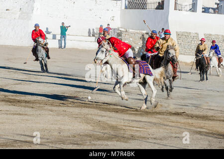 Polo viel während des Ladakh Festivals in Leh, Indien Stockfoto