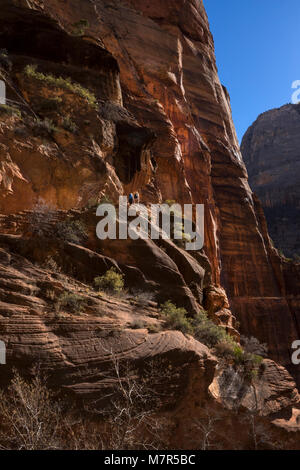 Angels Landing, Zion National Park, Utah, USA Stockfoto