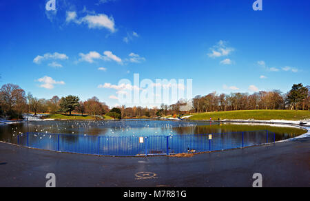 Vögel auf einem teilweise gefroren Sefton Park See in South Liverpool mit Schnee um den Umfang und einem schönen blauen Himmel. Stockfoto