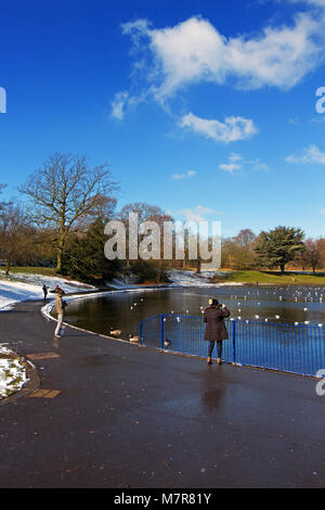 Vögel auf einem teilweise gefroren Sefton Park See in South Liverpool mit Schnee um den Umfang und einem schönen blauen Himmel. Stockfoto