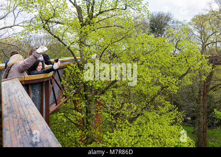 London, Großbritannien - 18 April 2014. Touristen nehmen selfies aus der Baumkrone Gehweg bei Kew Botanic Gardens. Stockfoto