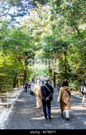 Japan, Ise, Ise-jingu Geku, äußere Schrein. Menschen zu Fuß entlang der Allee zu Schrein. Stockfoto