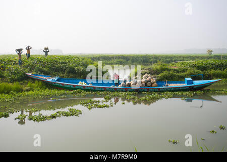 Kürbisse sind Laden auf dem Boot bei Arial Beel, Munshigonj, Bangladesch. Stockfoto