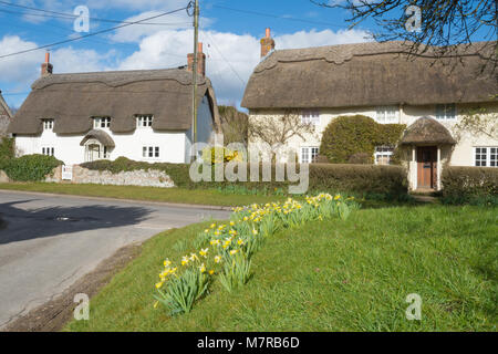 Charmante strohgedeckten Hütten und Narzissen in Martin Dorf in Hampshire, Großbritannien Stockfoto