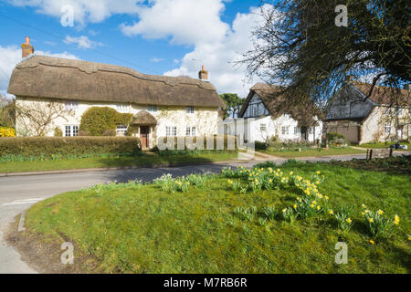 Charmante strohgedeckten Hütten und Narzissen in Martin Dorf in Hampshire, Großbritannien Stockfoto