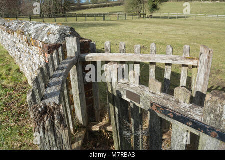 Holz- küssen Tor - Eingang in die Pfarrkirche des Dorfes Martin in Hampshire, Großbritannien Stockfoto