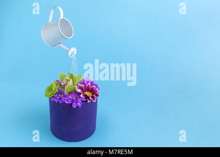 Gießkanne mit schönen Blumen auf blau Pastell Hintergrund. Minimale kreatives Konzept. Stockfoto