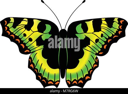 Vektor-Schmetterling. Abbildung in EPS 10 gemacht. Stock Vektor