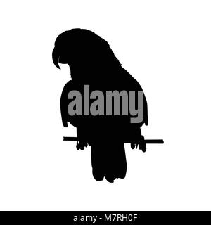 Vector Illustration des Black Parrot Silhouette. Vektor parrot Silhouette Stock Vektor