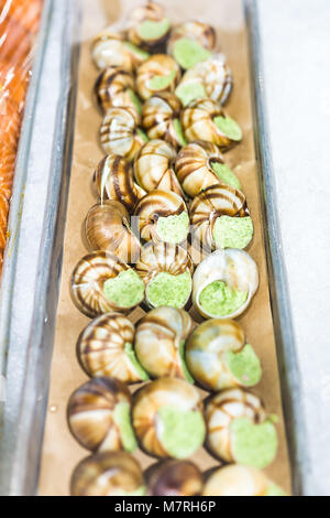 Viele Rohstoffe escargot vorbereiteten Schalen Schnecke mit grüner Butter Petersilie füllen Stockfoto