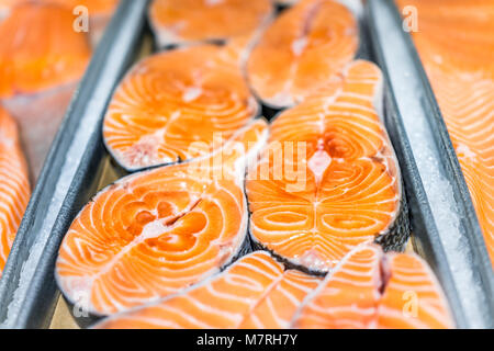 Nahaufnahme der viele frische Auswahl Lachs schneiden Steaks Fisch in Seafood Market shop Anzeige Fach orange große Farm Fett angehoben marmoriert Stockfoto