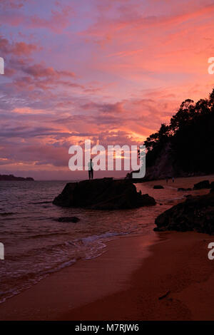 Person auf Rock bei Beobachtung Strand bei Sonnenuntergang, Abel Tasman National Park, Nelson, Südinsel, Neuseeland (Model Released) Stockfoto