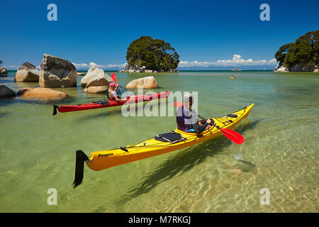 Kajakfahrer, Mosquito Bay, Abel Tasman National Park, Nelson, Südinsel, Neuseeland (Model Released) Stockfoto