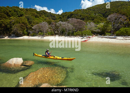 Kayaker, Mosquito Bay, Abel Tasman National Park, Nelson, Südinsel, Neuseeland (Model Released) Stockfoto