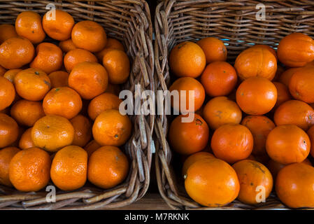 Mandarinen und Orangen Stockfoto