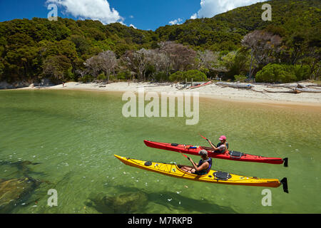 Kajakfahrer, Mosquito Bay, Abel Tasman National Park, Nelson, Südinsel, Neuseeland (Model Released) Stockfoto