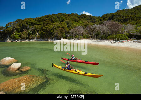 Kajakfahrer, Mosquito Bay, Abel Tasman National Park, Nelson, Südinsel, Neuseeland (Model Released) Stockfoto