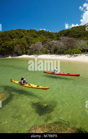 Kajakfahrer, Mosquito Bay, Abel Tasman National Park, Nelson, Südinsel, Neuseeland (Model Released) Stockfoto