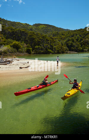 Kajakfahrer, Mosquito Bay, Abel Tasman National Park, Nelson, Südinsel, Neuseeland (Model Released) Stockfoto