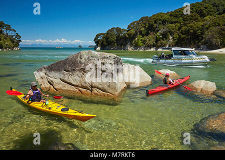 Kajakfahrer und Wassertaxi, Mosquito Bay, Abel Tasman National Park, Nelson, Südinsel, Neuseeland (Model Released) Stockfoto