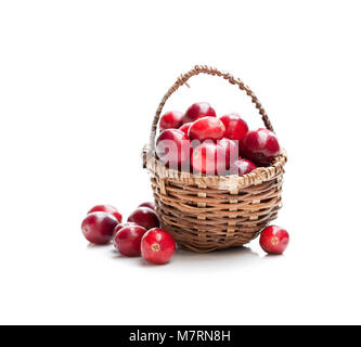 Frische Cranberries in kleinen Weidenkorb auf weißem Hintergrund Stockfoto