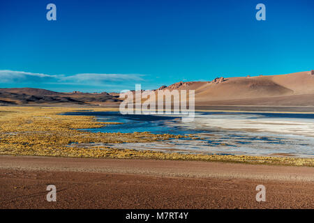 Altoandina Lagune in der Salar de Atacama liegt an der Grenze zwischen Chile und Argentinien Stockfoto