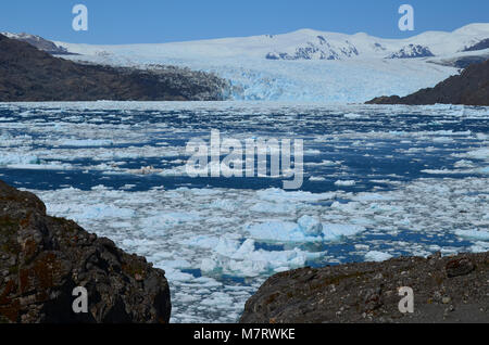 Steffen Gletscher in Campo de Hielo Sur (südliche patagonische Eisfeld), chilenischen Patagonien Stockfoto