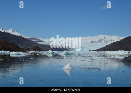 Steffen Gletscher in Campo de Hielo Sur (südliche patagonische Eisfeld), chilenischen Patagonien Stockfoto