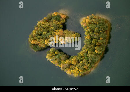 Luftaufnahme, Chromosomen form Kirchheller Heide See, Inseln, Herbstblätter, golderner Oktober Kirchhellen, Bottrop, Ruhrgebiet, Nordrhein-Westfalen, Ge Stockfoto
