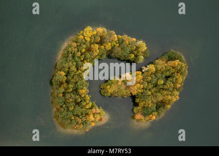 Luftaufnahme, Chromosomen form Kirchheller Heide See, Inseln, Herbstblätter, golderner Oktober Kirchhellen, Bottrop, Ruhrgebiet, Nordrhein-Westfalen, Ge Stockfoto