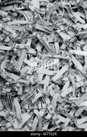 Ein Fragment von Papier mit dem Wort 'Computer' ist, zentriert auf einem Haufen geschredderten weißes Papier. Stockfoto