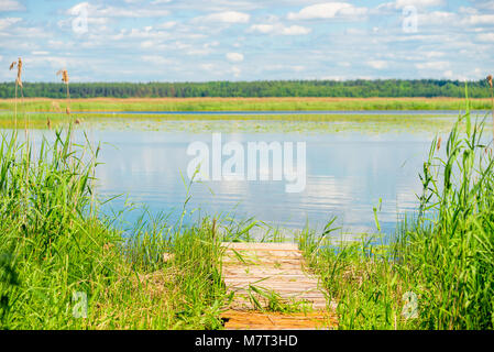 Eine hölzerne Pier, bewachsen mit Gras am Ufer eines schönen malerischen See Stockfoto