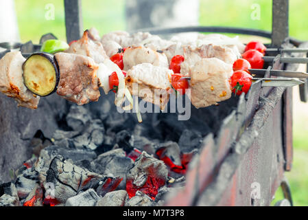 Appetitliche leckere Shish Kebab am Spieß auf Grill über Kohlen Stockfoto