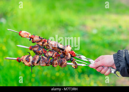 Gebratenes Schweinefleisch Shish Kebab am Spieß in der Hand auf dem Hintergrund des grünen Grases Stockfoto