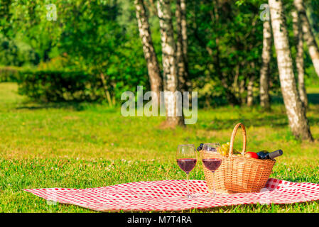 Karierte Tischdecke auf der grünen Wiese im Park mit einem Korb für ein Picknick. In den Korb, Obst und Wein Stockfoto
