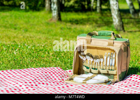 Thermische Beutel mit einem Satz Geschirr auf einem karierten Tischtuch auf dem Rasen für ein Picknick Stockfoto