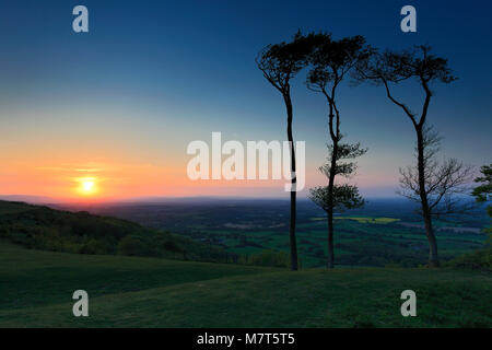 Sommer Sonnenuntergang über Chanctonbury Ring, South Downs National Park, Sussex, England, Großbritannien Stockfoto