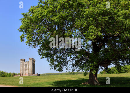 Die Hiorne Tower, war es für den Herzog von Norfolk, Arundel, Arundel Park Town, West Sussex County, England, Großbritannien gebaut Stockfoto