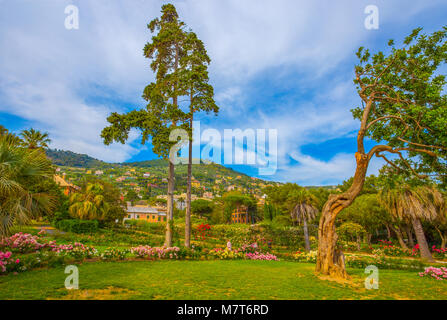 Genua (Genova), Italien, 31. Mai 2017 - Bunte Rose Garden' Il Roseto" in Genua (Genova) Nervi, in Genua Nervi Groppallo Park, Italien Stockfoto