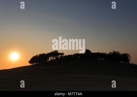 Sommer Sonnenuntergang über Chanctonbury Ring, South Downs National Park, Sussex, England, Großbritannien Stockfoto