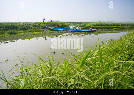 Kürbisse sind Laden auf dem Boot bei Arial Beel, Munshigonj, Bangladesch. Stockfoto