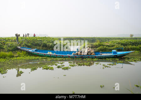 Kürbisse sind Laden auf dem Boot bei Arial Beel, Munshigonj, Bangladesch. Stockfoto