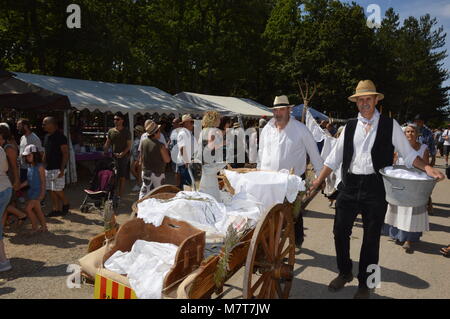 Zoom auf das Lavendelfestival vom 15. august in Sault, Frankreich Stockfoto