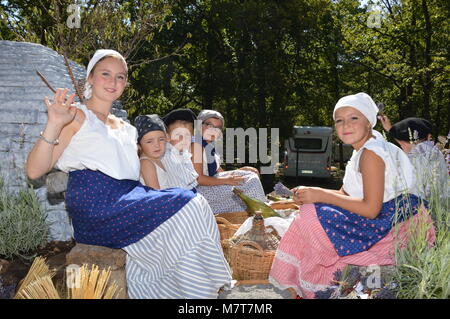 Zoom auf das Lavendelfestival vom 15. august in Sault, Frankreich Stockfoto